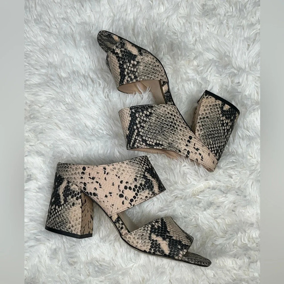 Madden Girl | Snake Print Chunky Heels - Picture 8 of 14